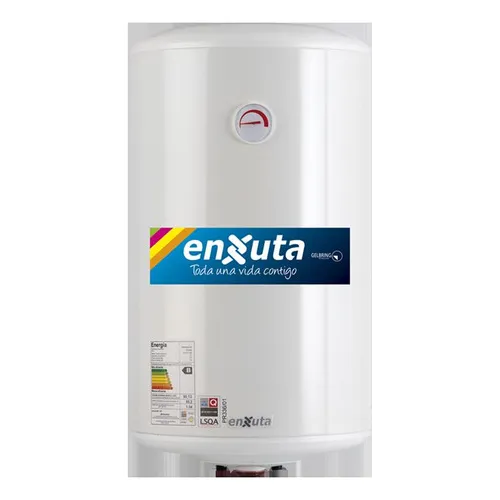 Termotanque Calefón Enxuta Tenx21100 100 Litros Amv Color Blanco