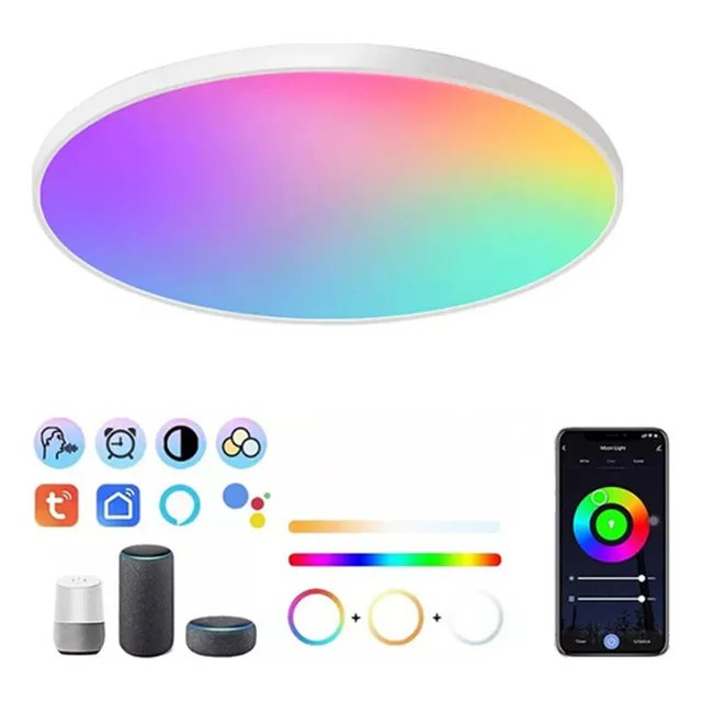Lámparas De Techo Decorativa Para Sala Inteligente Alexa Rgb