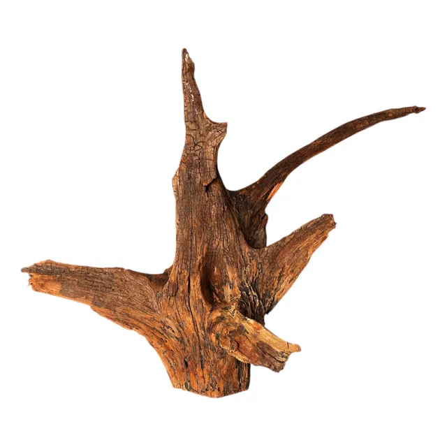 Troncos Para Acuarios Plantados Curado - Kg a $9167