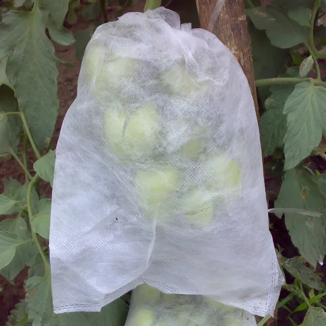 Saco Proteção Frutas Legumes Pragas Doenças 18x22cm - 100 Un