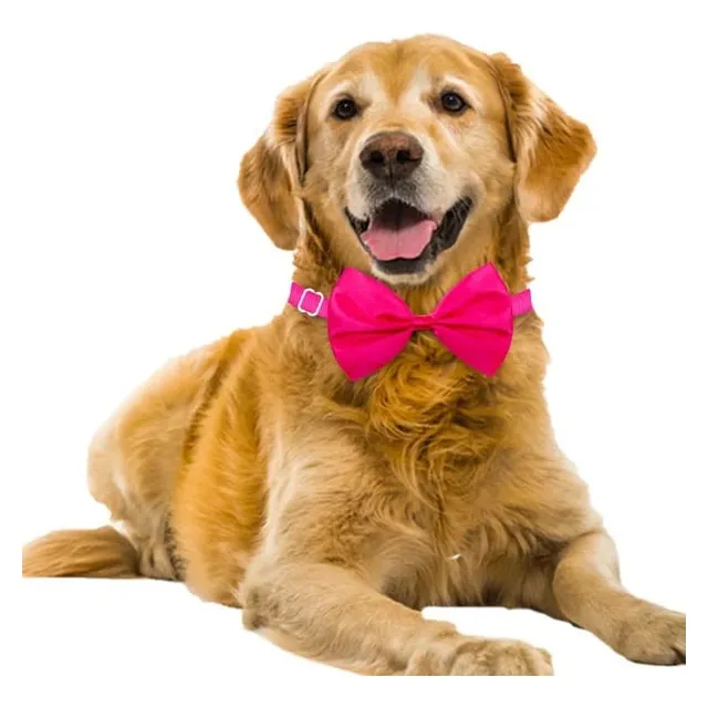 Corbatín Moño Humita Para Mascotas Ajustable Perros Y Gatos