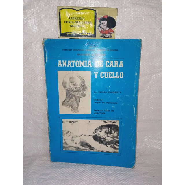 Anatomía De Cara Y Cuello - Universidad Javeriana