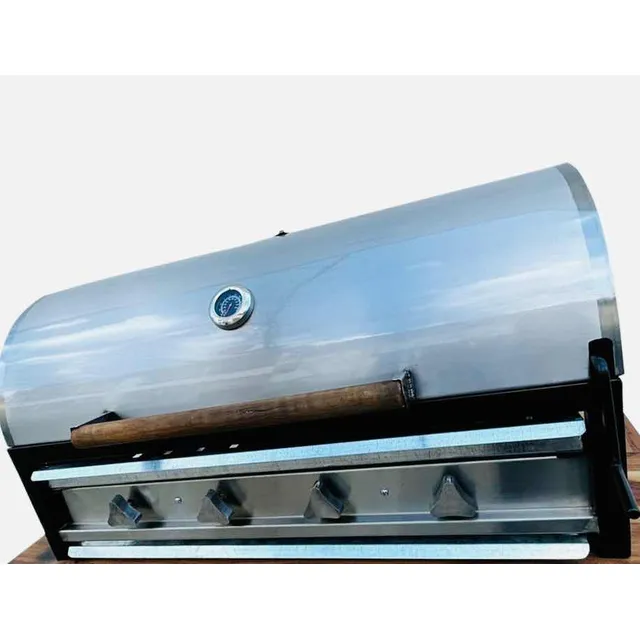 Asador De Carne Carbón Y Gas