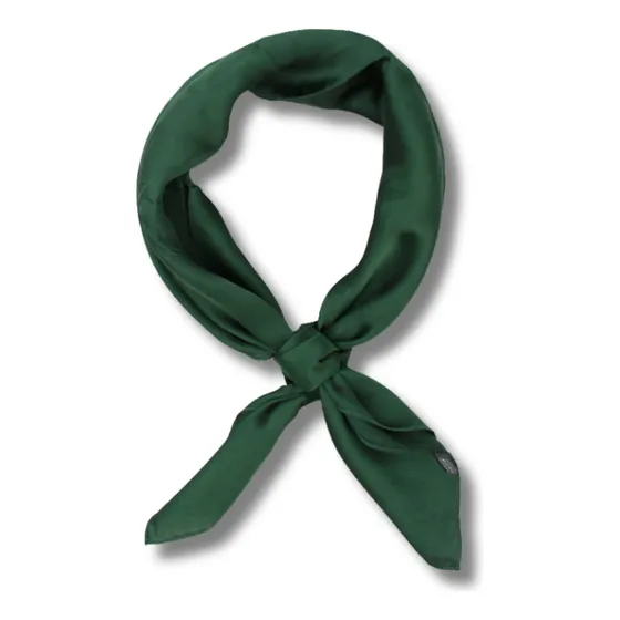 Pañuelo Unisex Estilo Seda 70x70 Cm Colores Varios Verde Oscuro Liso Standar