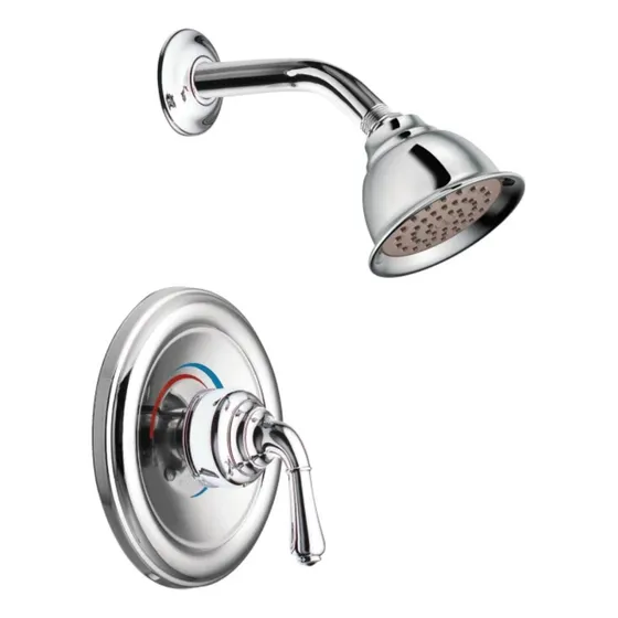 Moen Regadera Con Monomando Monticello Acabado Cromo T2524