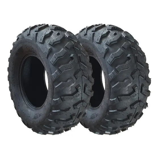 Pneus Traseiro Moto Quadriciclo Fourtrax Honda 24x10-11