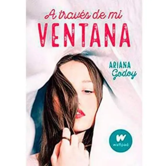 Libro Y Original: A Traves De Mi Ventana