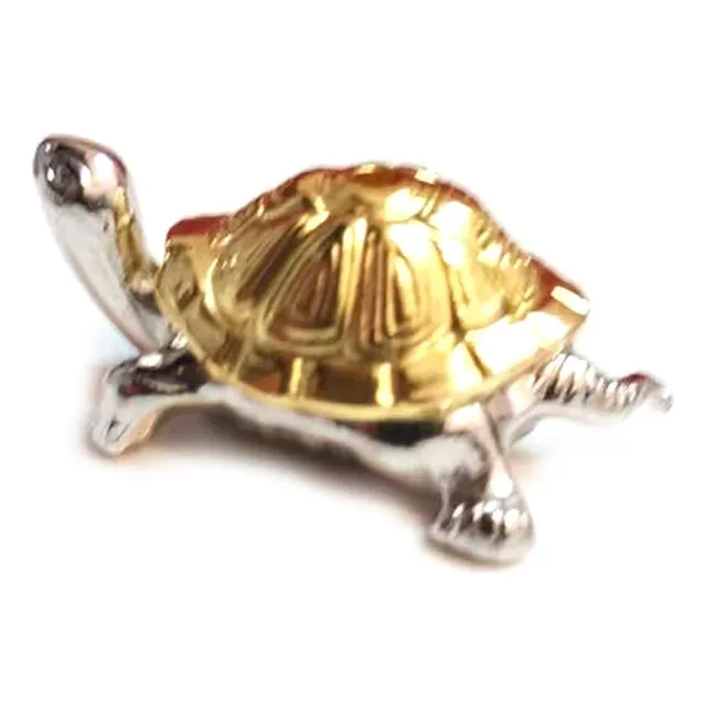 Quemador Incienso Caracol Tortuga Soporte Para Incenso