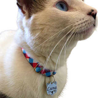 Coleira Elástica Para Gatos Personalizada Coleira Elástica Para Gatos Personalizada