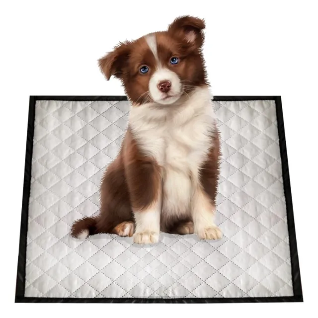Almohadilla Entrenamiento Lavable Para Mascota Reutilizable 