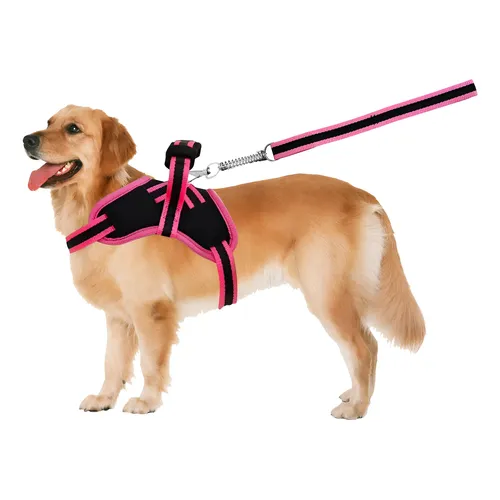 Nylon Dog Leash Cool Rui Training Rope Medium Size Black