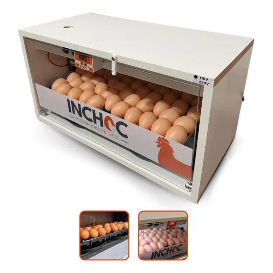 Chocadeira 50 Ovos Galinha Codorna Automatica Profissional