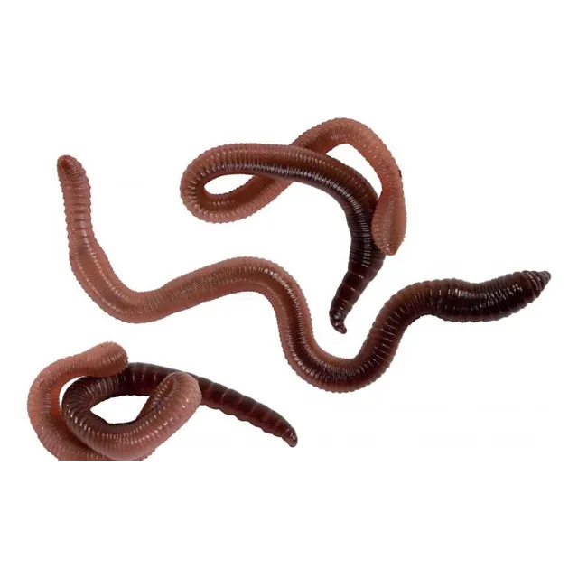 Lombrices Californianas Para Compost O Pesca - 250u