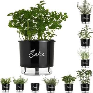 Vaso Raiz Auto IrrigĂĄvel 16x14 AutoirrigĂĄvel Preto Temperos Vaso Raiz Auto IrrigĂĄvel 16x14 AutoirrigĂĄvel Preto Temperos