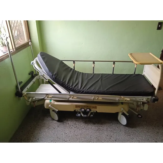 Cama Hospitalaria Cama Clínica Usada Lifeguard 50 Arjo