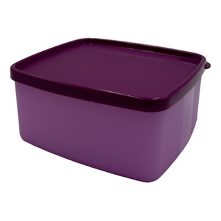Refri Ventana Chico Recipiente Congelación 500ml Tupperware Refri Ventana Chico Recipiente Congelación 500ml Tupperware
