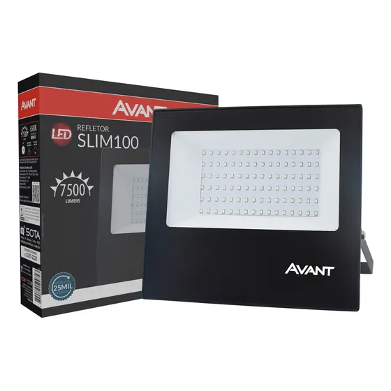 Refletor Slim Led 100w Ip66 Branco Frio 6500k Avant Carcaça Preto Luz Branco-frio 127/220V