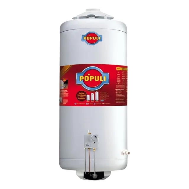 Termotanque A Gas Ecotermo Populi De Carga Superior De 70lts