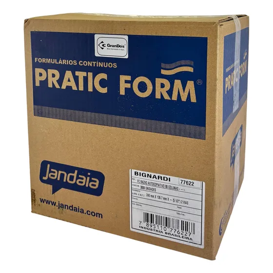 Formulario Continuo Razão 2 Vias Autocopiativo Pratic Form