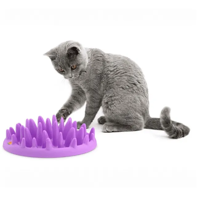 Comedero Interactivo Gato Northmate