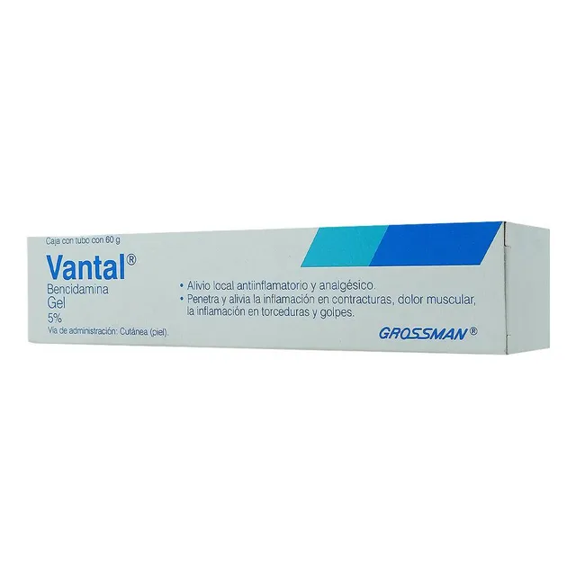 Vantal Gel, 1 Tubo 60 G