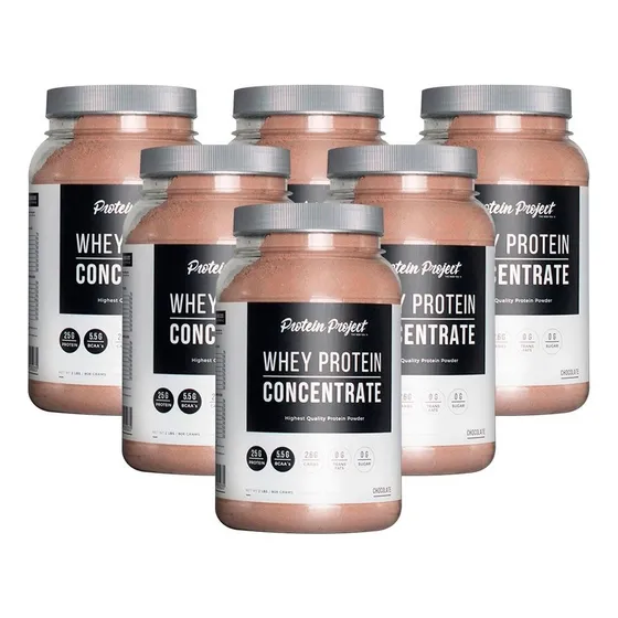 Protein Project Concentrate 2 Lb X 6 Unidades Suplementos Sabor Chocolate