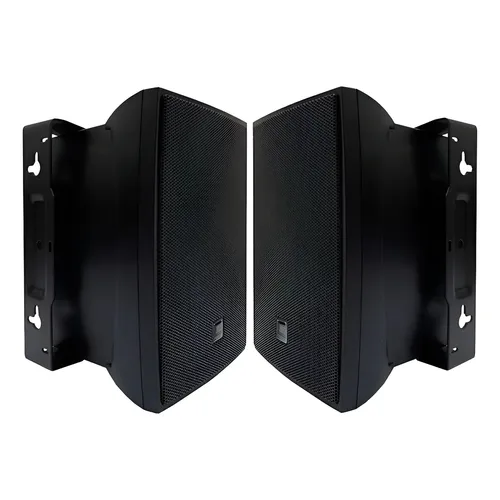 Jbl Professional Control 65p/t Par Caixa Pendente 5,25 Pol. Preto