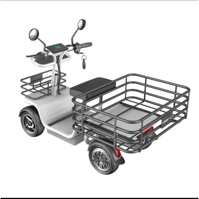 Scooter Eléctrico 4 Ruedas