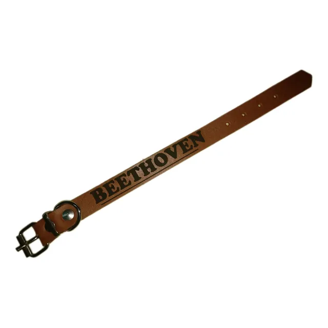 Collar De Perro Personalizado  N2