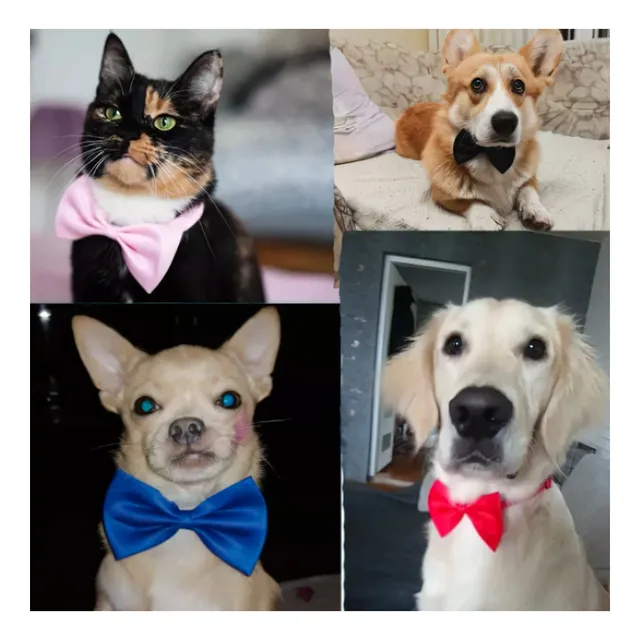 Corbata Pajarita Ajustable Para Perro Y Gato Collar