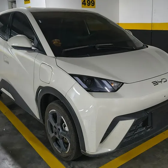 BYD Seagull Ev 2025 0.0 Gs 400