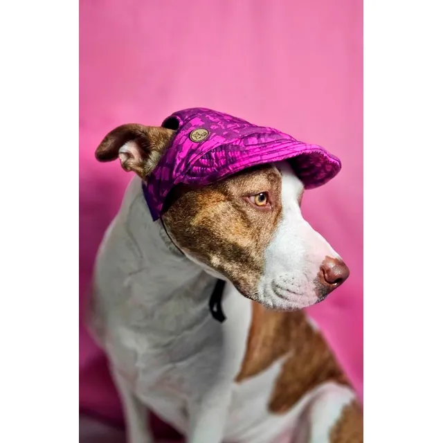 Accesorio Para Mascota - Gorra Para Perro