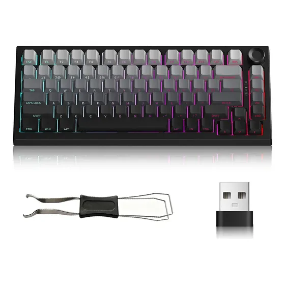 Teclado Mecanico Gamer / Bluetooth 5.0/2.4ghz / Usb-c IRgb / Hot-swap / Anti-ghosting I Layout I Compativel Com Pc,Notebook, Mac E Ps4I Eixo Mx Transparente PretoPortugues Brasil