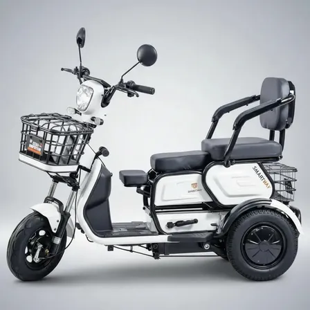 Triciclo Eletrico Adulto Cadeira Idoso 1000w Mobilidade Branco 110v/220v