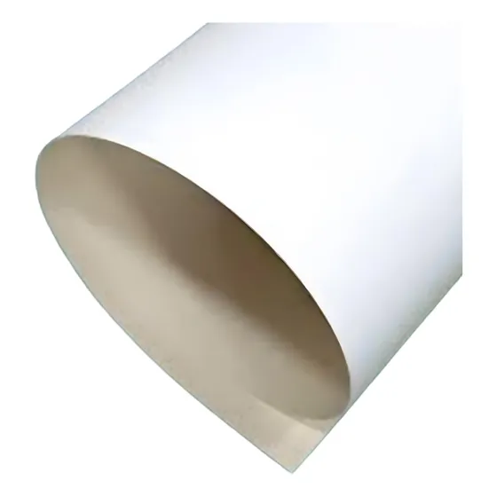 Carton Forrado Reverso Blanco 250 Grs 77x110 Cm 10 Un.