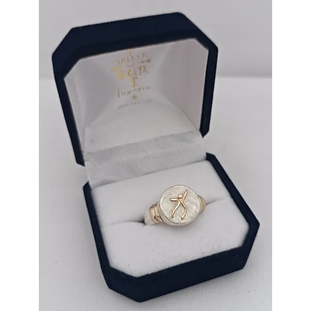 Anillo Profesión Isef Profesora Educación Física Plata Y Oro