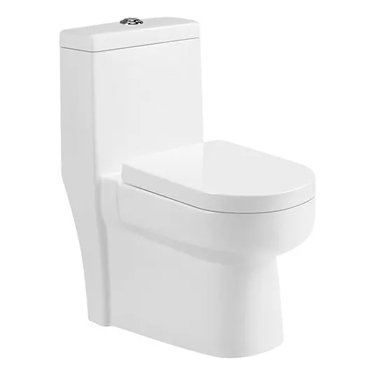 Inodoro Taza Wc Alto Baño Cerámica Dual Flush One Piece
