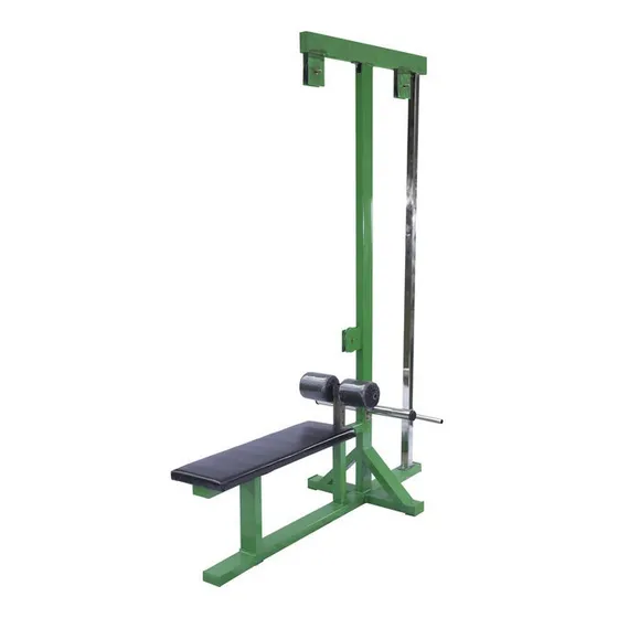 Dorsalera Polea Alta Remo Bajo Profesional Discos Gimnasio