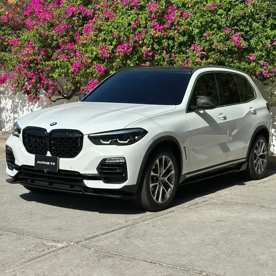 BMW X5 2020 3.0 Xdrive30d