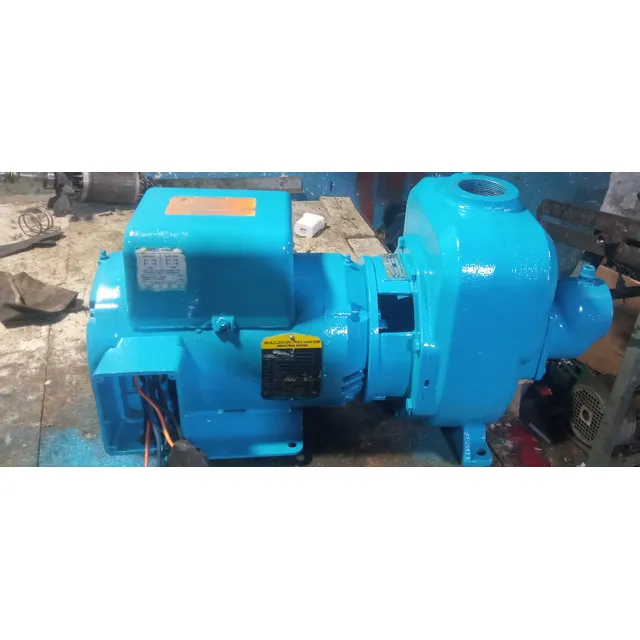 Bomba De Agua Monofásica De 5hp Voltios 220