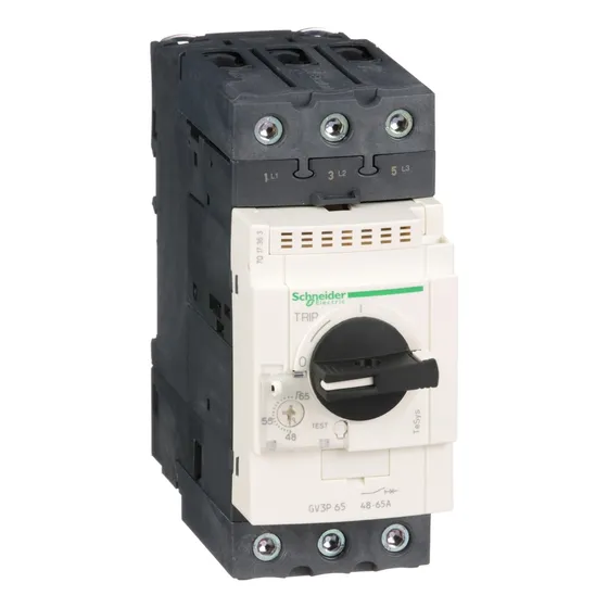 Guardamotoretermomagnetico 48-65a - Schneider