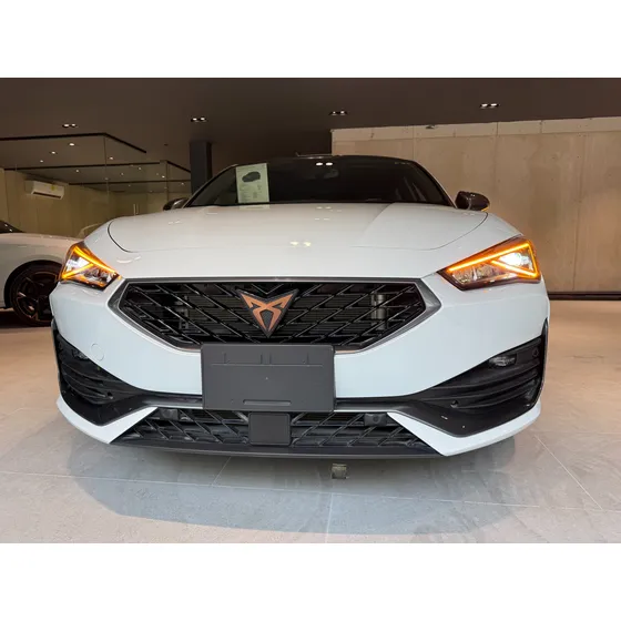 Cupra Leon 300hp