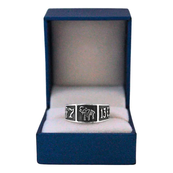 Anillo De La Abundancia Plata 925 Riqueza Suerte Protección
