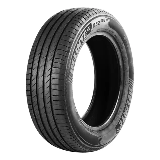Pneu Aro 20 Delinte 255/45zr20 105w Ds2 Suv Xl