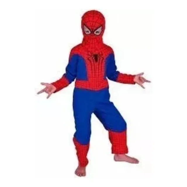 Disfraz Del Hombre Araña Para Niños Super Heroes Delivery