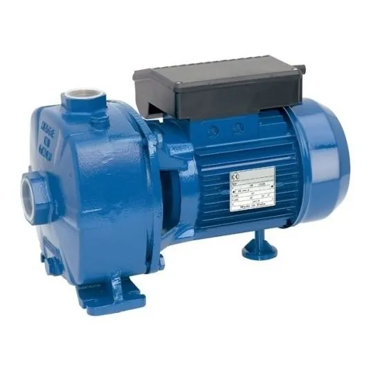 Bomba Centrifuga Doble Impulsor Reggio Ssbj200 Br 2hp