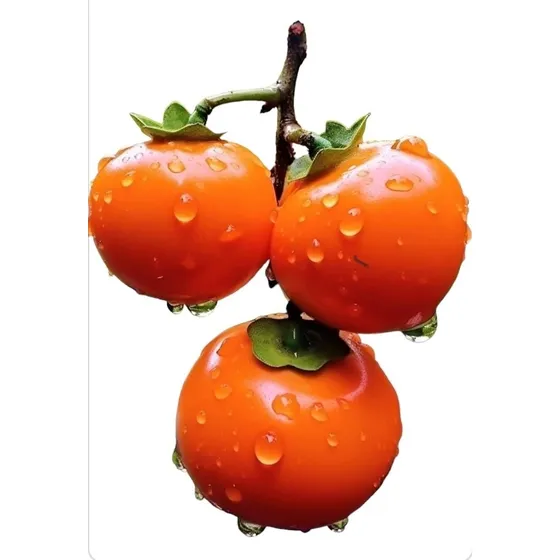 Kaki Fuyu Árbol Frutal Z/ Del Viso (pilar)