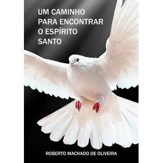 Livro Um Caminho Para Encontrar O Espírito Santo Livro Um Caminho Para Encontrar O Espírito Santo