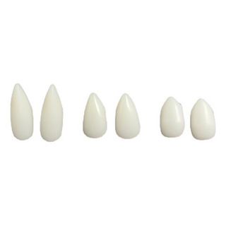 Gel Dental Chino 5g Colmillos De Vampiro Halloween Gel Dental Chino 5g Colmillos De Vampiro Halloween