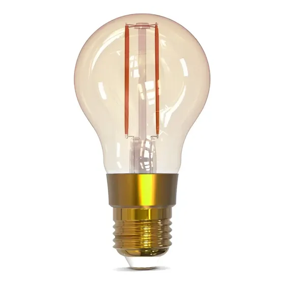 Lâmpada Inteligente Filamento Bulbo Dimerizável 9873 - Gaya Cor da luz Branco-quente